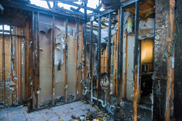 Professional Fire Damage Removal technician working in Black Rock, NM